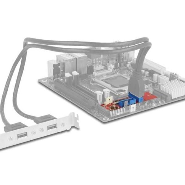 Адаптер Delock, M.2 Key B+M мъжко към 2 x USB 5 Gbps Pin Header